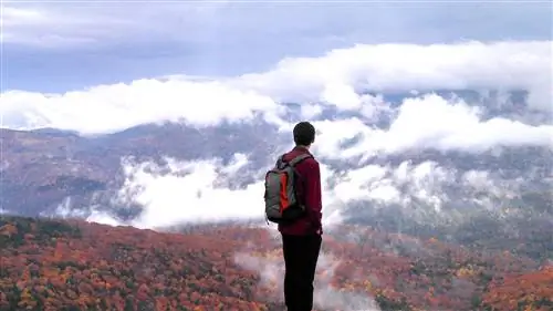 Разница между одиночеством и одиночеством