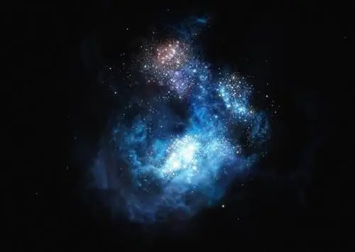 Image Image