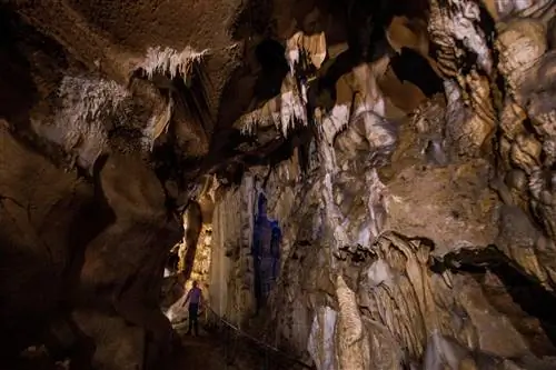 Найдены останки первых современных людей в Европе