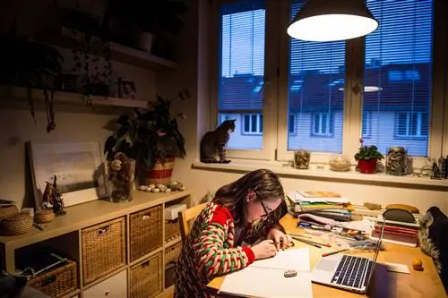 Я учился дома 8 лет: вот что я рекомендую