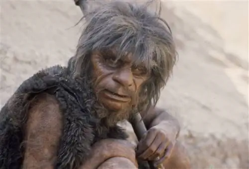 Употребление в пищу рыбы могло дать неандертальцам умственные способности