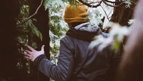 Как геокэшеры преодолевают страх в городских лесах