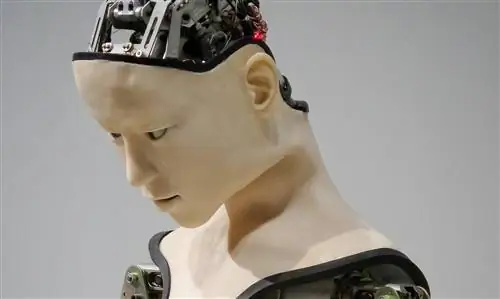 Термин «ИИ» слишком многообещающий: вот как заставить его работать на людей