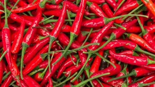 Исследование: мужчины, которые любят острую пищу, имеют более высокий уровень тестостерона