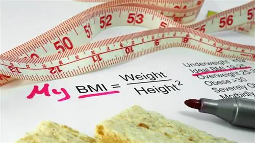 Даже если вы здоровы, увеличение веса сопряжено с риском