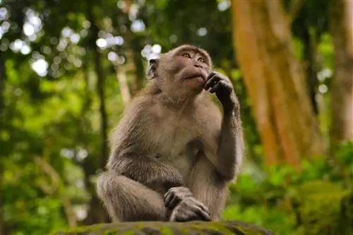 Ваши убеждения гораздо труднее обосновать, чем вы думаете