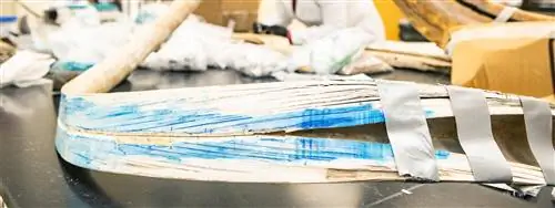 Подсказки в шерстистом бивне мамонта раскрывают всю жизнь путешествий