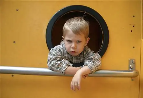 Кольцо - это ложь: туманность Кольцо, в конце концов, не кольцо