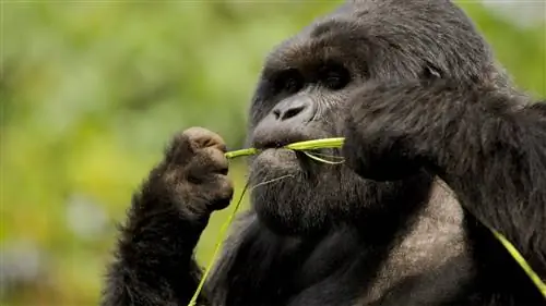 Ученые NASA Kepler делают то, что кажется невозможным: превращают пиксели в планеты