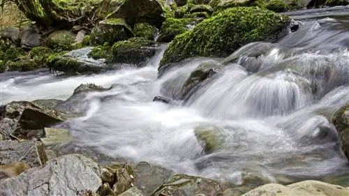 Image Image