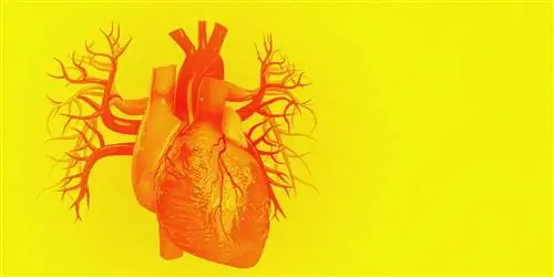 Новый «пластырь с микроиглами» может помочь пациентам с сердечным приступом восстановить ткань