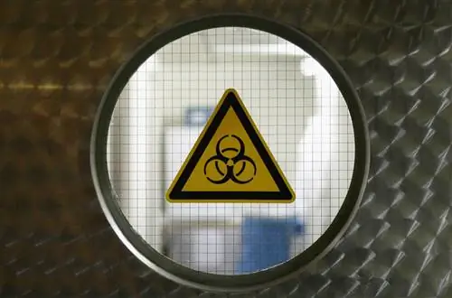 Вирус VP882 «подслушивает» бактерии, чтобы убить