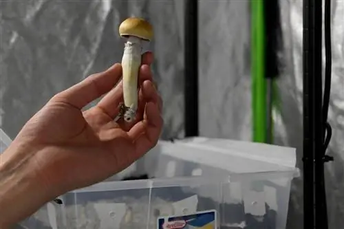 Спросите Итана: как я могу путешествовать в космосе, не попадая в неприятности?