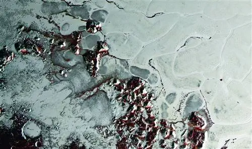 Толинс: красная слизь, необходимая для жизни во вселенной