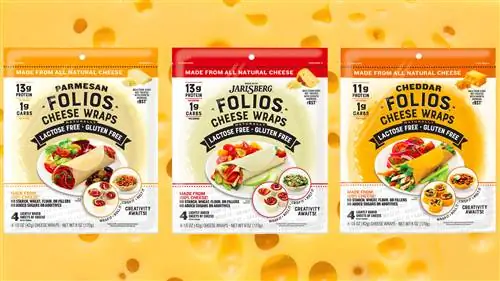 Эти новые лепешки для кето-диеты сделаны из 100% сыра