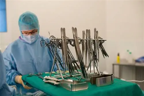 Когда мы должны перестать пытаться спасти пациента и сосредоточиться на спасении органов?