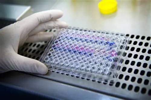 Почему дуновение на горячий напиток охлаждает его?