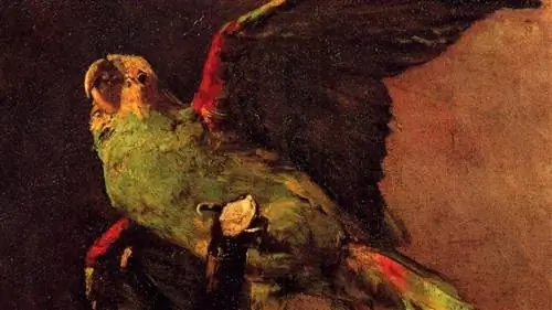 Первоначально По представлял попугая, а не ворона