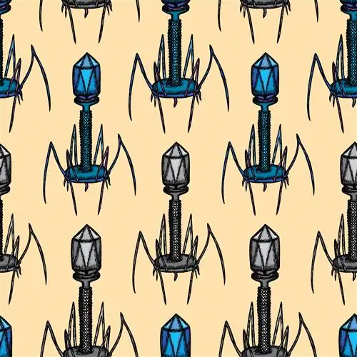 Ученые убивают супербактерий с помощью вирусов