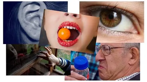 Выходя за рамки традиционных 5 человеческих чувств