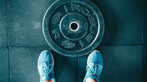 Привычки возникают из того, что мы делаем, а не из того, что мы хотим делать