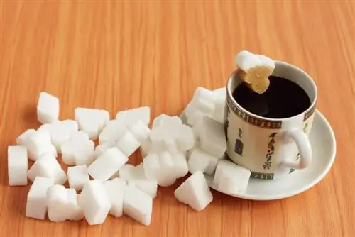 Альтернативы кофе, которые сделают вас более продуктивными