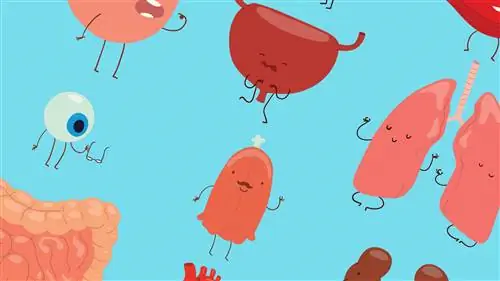 Пришло ли время разрешить донорство органов в случае смерти от передозировки наркотиков?