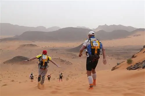 Бег на длинные дистанции полезен для здоровья?