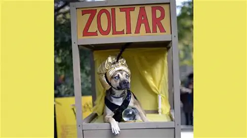 22 способа, с помощью которых алгоритмы узнают, как вы будете себя вести, прежде чем вы это сделаете