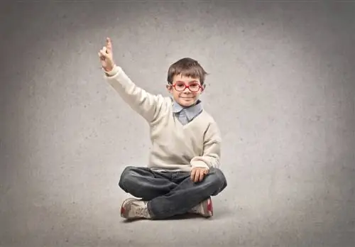 Наука выглядеть (хотя и не обязательно быть) умным