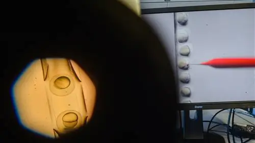 CRISPR впервые используется в испытаниях на людях в США