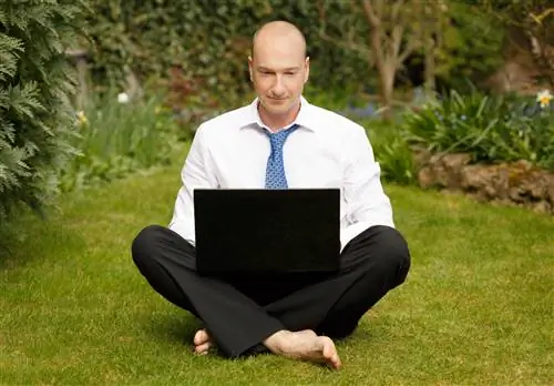 Удаленная работа или офисная работа: что лучше для творчества?