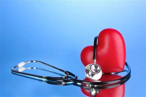 Связь между диетой и здоровьем остается неясной