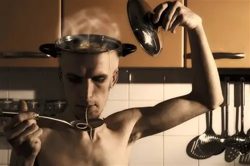 Ученые нашли нейронные пути, ответственные за импульсивное питание