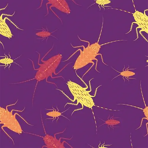 Тараканы эволюционируют, чтобы стать непобедимыми