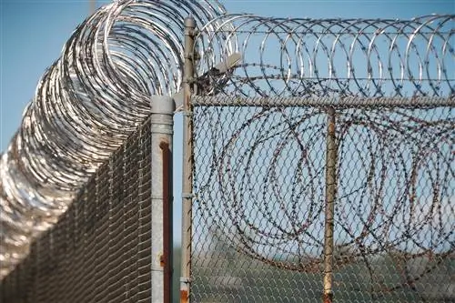 Отправление в тюрьму только для того, чтобы получить медицинскую помощь