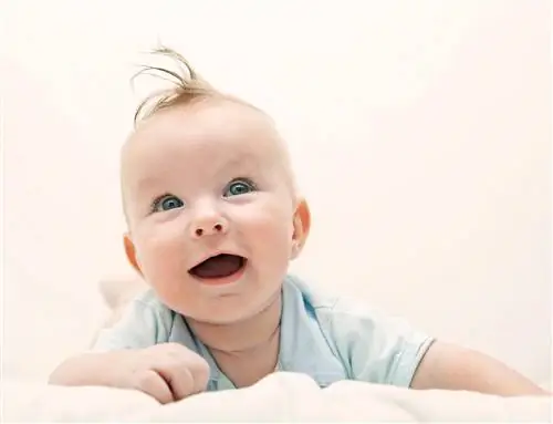 Как рождение мальчиков может сократить продолжительность жизни матери