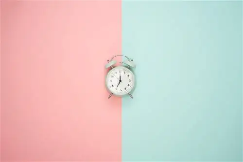 Этого никогда не бывает сейчас: 4 способа, которыми ваш мозг играет со временем