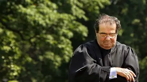 Scalia & Нарцисс: нация отвечает требованиями