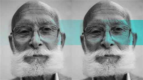 Откуда у 80-летних «суперстариков» мозги 20-летних?