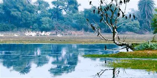 То, как мы воспринимаем окружающую среду, влияет на наше самочувствие, говорит австралийский философ