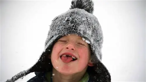 Весь этот снег вот-вот выпадет? Вы можете не захотеть это есть