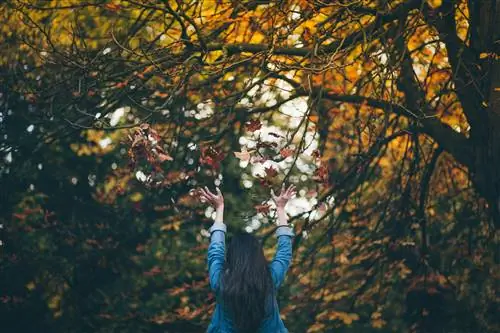 15 удивительных жизненных уроков от очень успешного 80-летнего человека