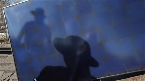 Солнечная энергия удивительным образом меняет рынок труда