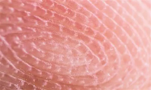 Уникальность, эволюция и вера