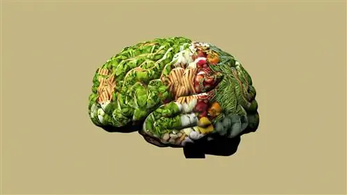 7 способов, которыми диета может улучшить ваше психическое здоровье