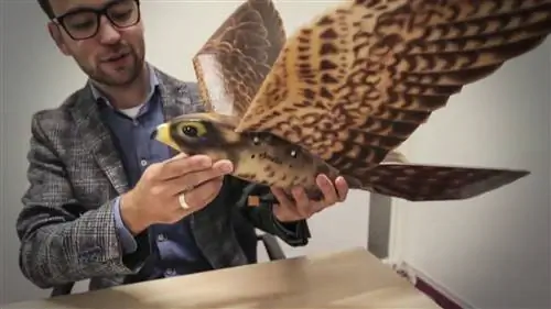 Мы можем регенерировать человеческую печень с проказой