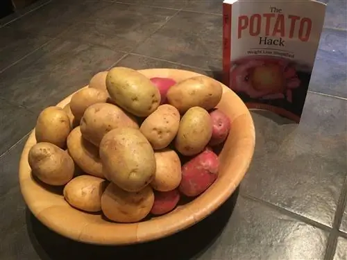 Это та диета, которая нам всем сейчас нужна?