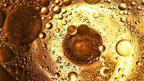 Ученые используют оливковое масло, чтобы открыть новый универсальный закон физики