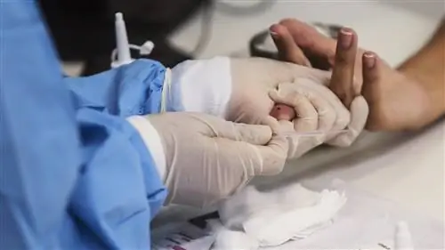 Первоначальные результаты тестов на антитела указывают на 2,7 миллиона случаев заражения в Нью-Йорке